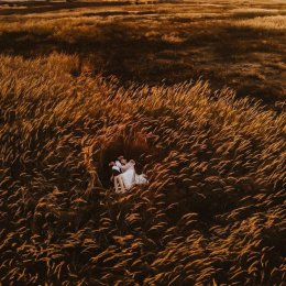 A Piłkowska Fotografia - Fotograf ślubny