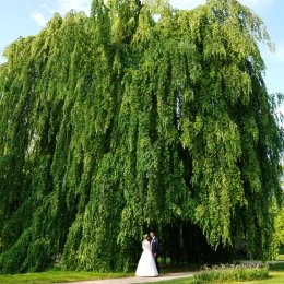 GMMSTUDIO FILMOWANIE I FOTOGRAFIA - Fotograf ślubny