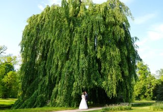 GMMSTUDIO FILMOWANIE I FOTOGRAFIA