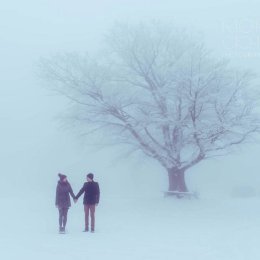 MonikaCichosz.com - Fotograf ślubny