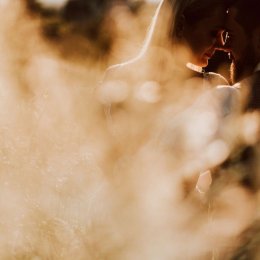 Wojciech Makula Fotografia - Fotograf ślubny