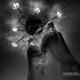Andrzej Pala Fotografia - Fotograf ślubny