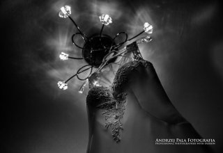 Andrzej Pala Fotografia