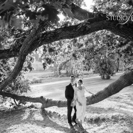 Studio Pozytyw - Fotograf ślubny