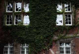 Michał Kucyrka Fotografia