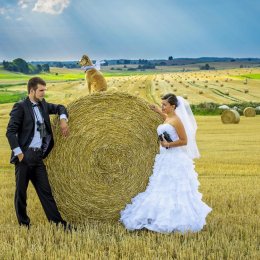 IPSE fotografia & reklama Adam Kolaśniewski - Fotograf ślubny