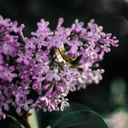 Katarzyna Pieprzyk Fotografia - Fotograf ślubny
