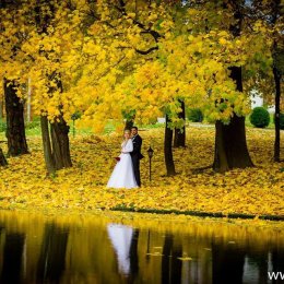 A-REC - Fotograf ślubny