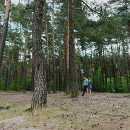 Happyhand Łukasz Salamon - Fotograf ślubny