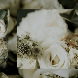 TobiaszFotograf - Fotograf ślubny