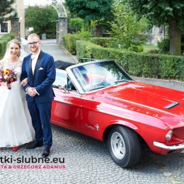 fotki-slubne.eu - Fotograf ślubny