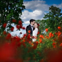 Maciej Rafalski Fotografia - Fotograf ślubny