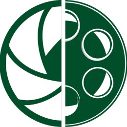 Kris Video Foto - Fotograf ślubny