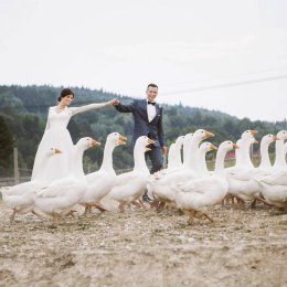 Fotografiaslubna.format.com - Fotograf ślubny