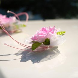 Art-Edu - Fotograf ślubny