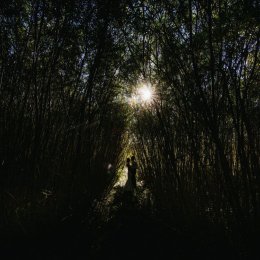 WedLight Story - Fotograf ślubny