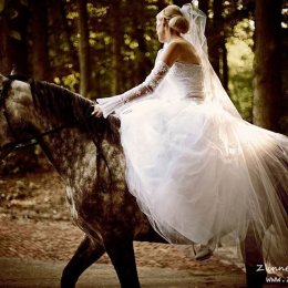 Z Innej Perspektywy Studio - Fotograf ślubny