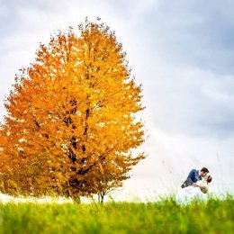 Dariusz Łuka - Fotograf ślubny