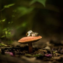 Fotografia Ślubna Sandra i Kuba - Fotograf ślubny