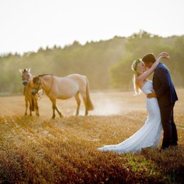 Pafmedia - Fotograf ślubny