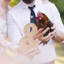 Bajkowe Śluby - Fotograf ślubny