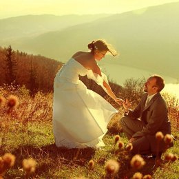 Falco Studio - Fotograf ślubny