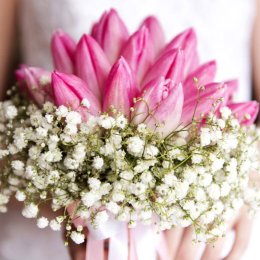 Massimo Arte - Fotograf ślubny