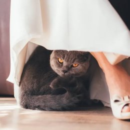 Nati and Alex - Fotograf ślubny