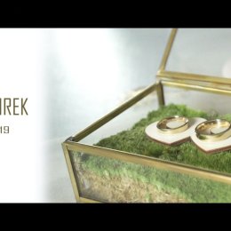 PinguiniFilms - Fotograf ślubny