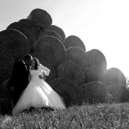 Studio GP - Fotograf ślubny