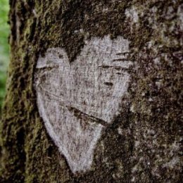 Michał Kochaniec HRPS - Fotograf ślubny