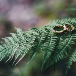 Viral Studio - Fotograf ślubny