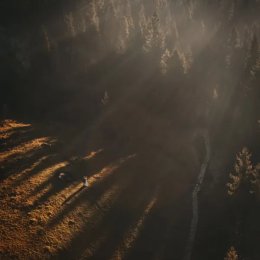 Visign Weddings - Fotograf ślubny