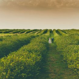 Daniel Roszkowski - Fotografia - Fotograf ślubny