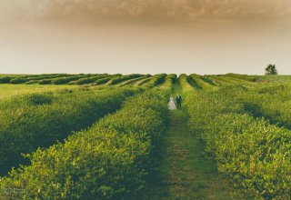 Daniel Roszkowski - Fotografia