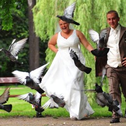 SOLUTIONS Anna Konsewicz-Zawadzka - Fotograf ślubny