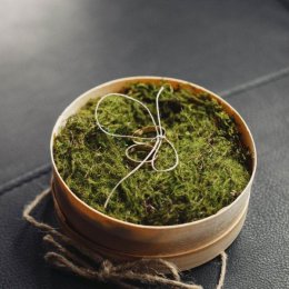 Tomastudio.pl - Fotograf ślubny