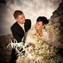 Studio Foto-Video SoniQ - Fotograf ślubny