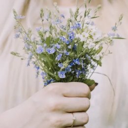 Leśne historie - Fotograf ślubny