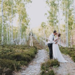 Niebieskie Migdały - Fotograf ślubny