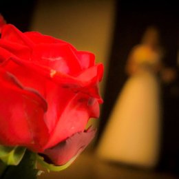 twój fotograf ślubny - oferta zindywidualizowana - Fotograf ślubny