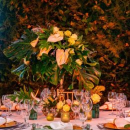 Hotel Cyprus - Sale weselne