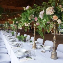 Azyl Mironice - Sale weselne