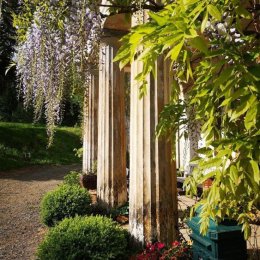 Pałac Rząsiny - Sale weselne