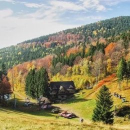 Bukowa Chata - Sale weselne