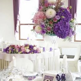 Kameliowy Zakątek - Sale weselne