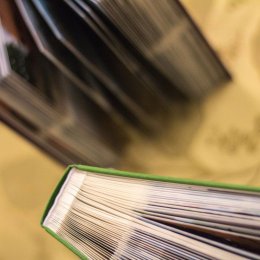 Willa West Ende - Sale weselne