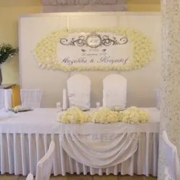 Sala Bankietowa Pod Łabędziem - Sale weselne