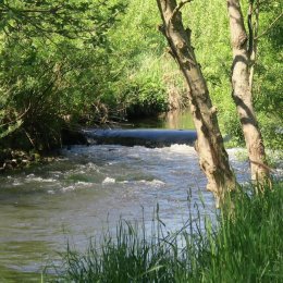 Dworek Rajska Góra - Sale weselne