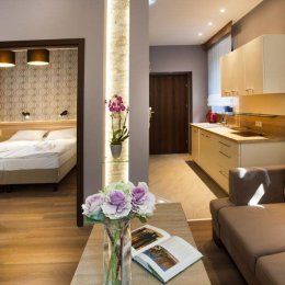 Apartamenty Silva - Sale weselne